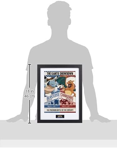 23647_affiche-pokémon-red-vs-blue-mesure.jpg