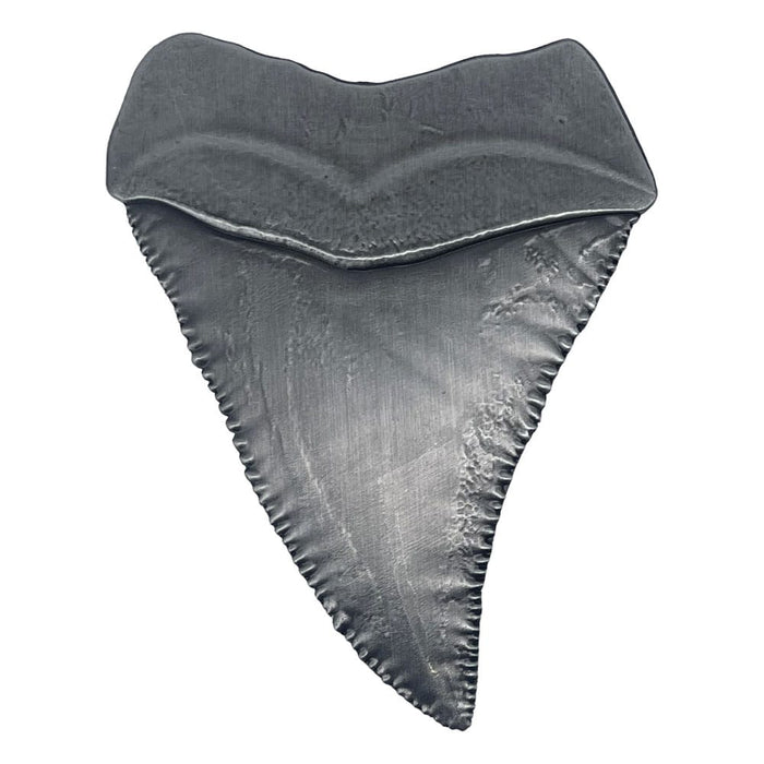 Jaws Verzamelmedaille Haaientand