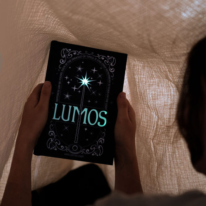 Taccuino Harry Potter Lumos con bacchetta