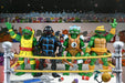 Teenage Mutant Ninja Turtles Stump Wrestling Pack de 4 Figuras de Acción (Archie Comics)