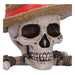 Caja de almacenaje One Piece Jolly Roger de Luffy